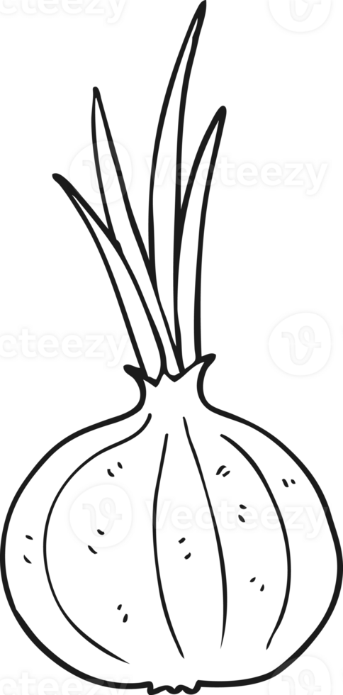 hand drawn black and white cartoon onion png