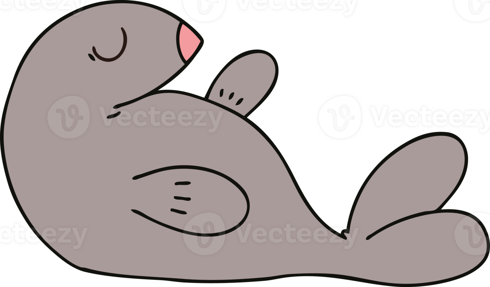 hand drawn quirky cartoon seal png