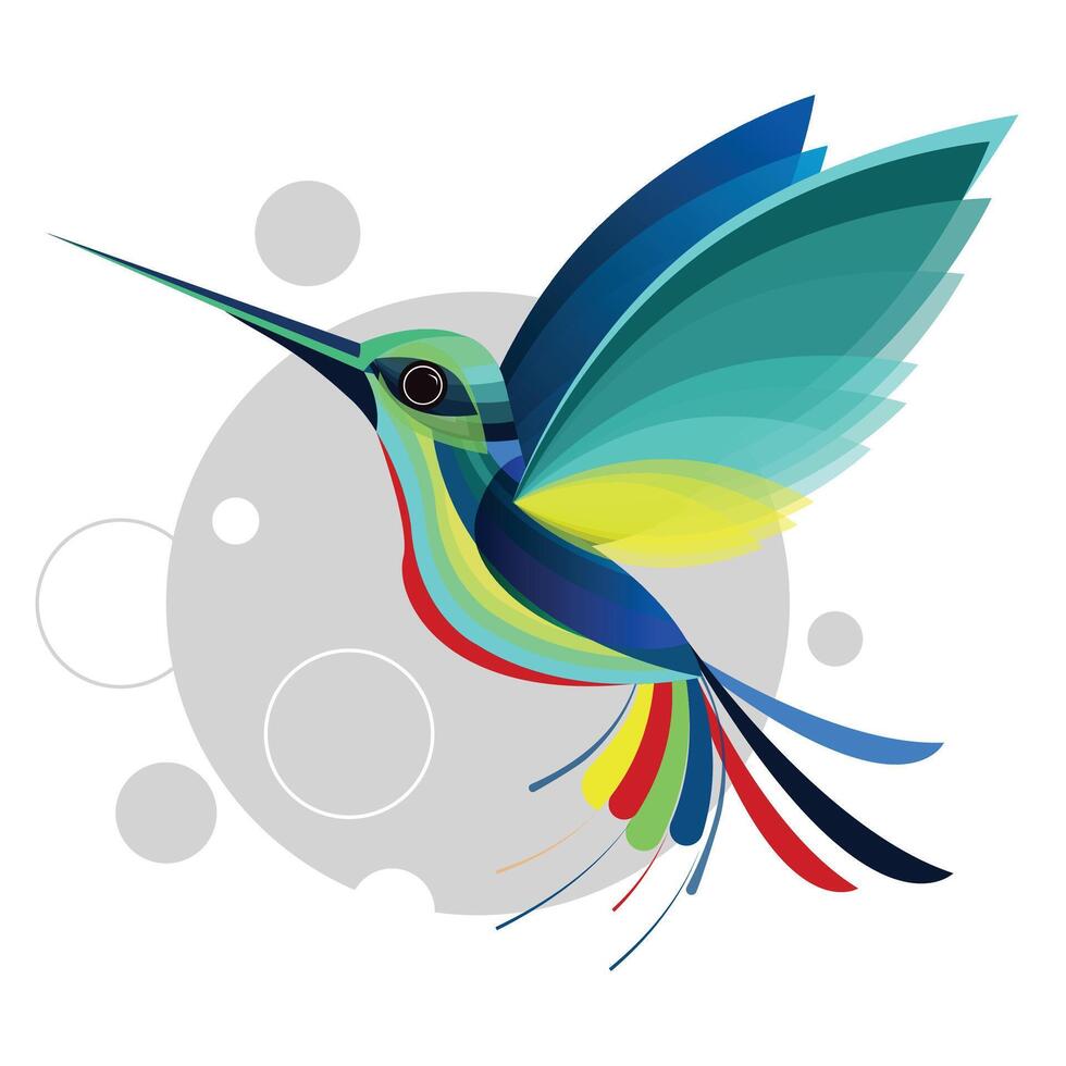Flaying hummingbird Bird with white Background vector