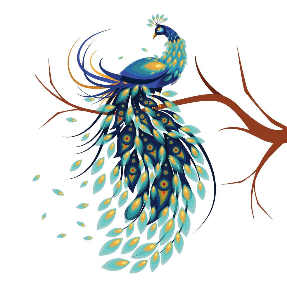Colorful Peacocks isolated on white background. A drawing of a peacock with the words peacock on it vector