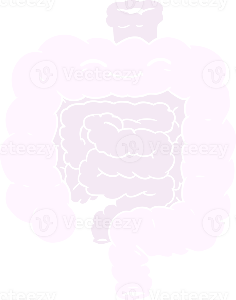 flat color style cartoon intestines png