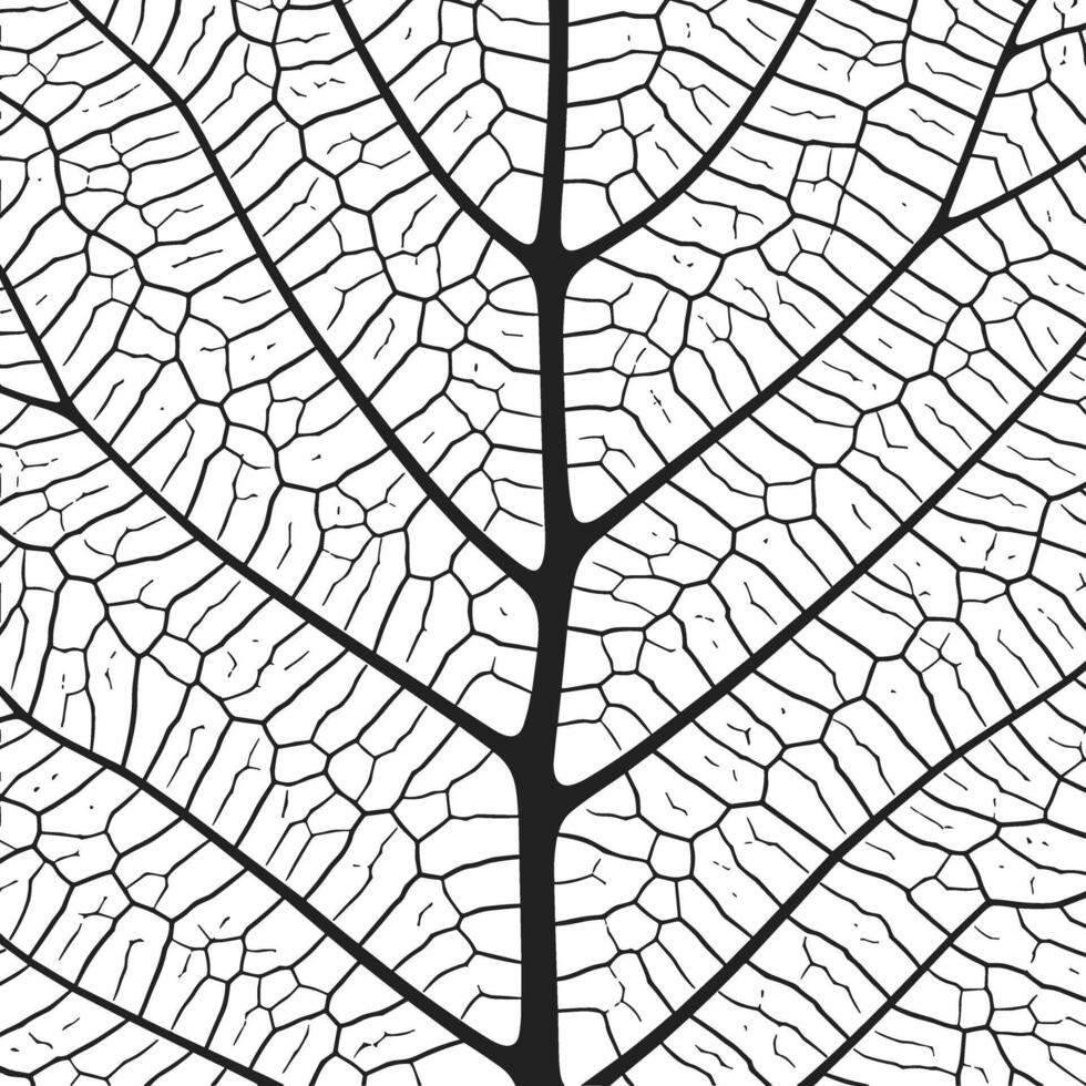 Leaf vein texture abstract background with close up plant leaf cells ornament texture pattern. vector