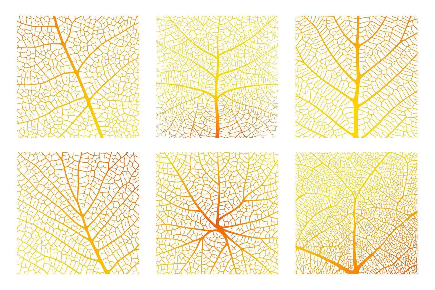 Leaf vein texture abstract background with close up plant leaf cells ornament texture pattern. vector