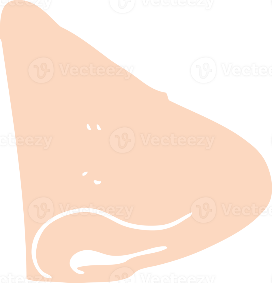 flat color illustration of nose png