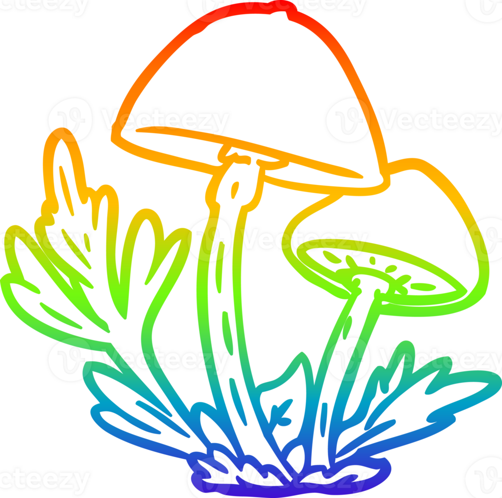 rainbow gradient line drawing of a wild mushrooms png
