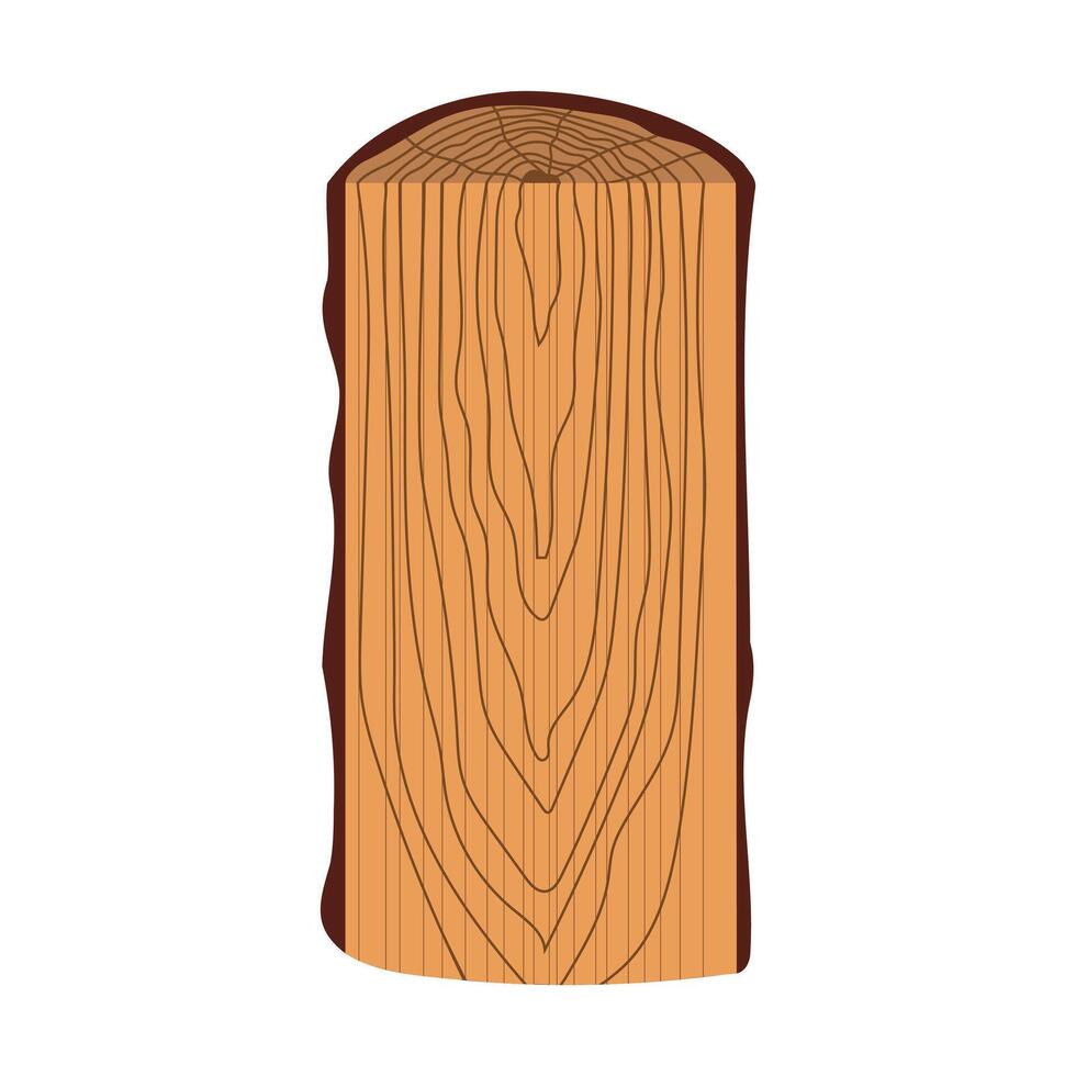 Tangential section of the trunk vector