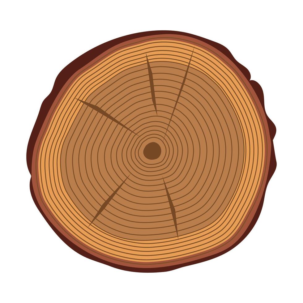 Trunk cut on a white background vector