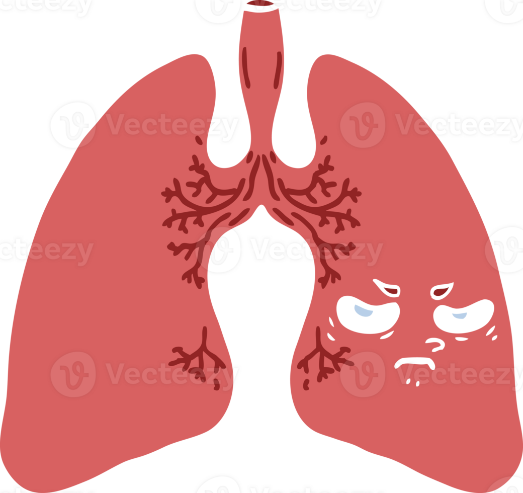 flat color style cartoon lungs png