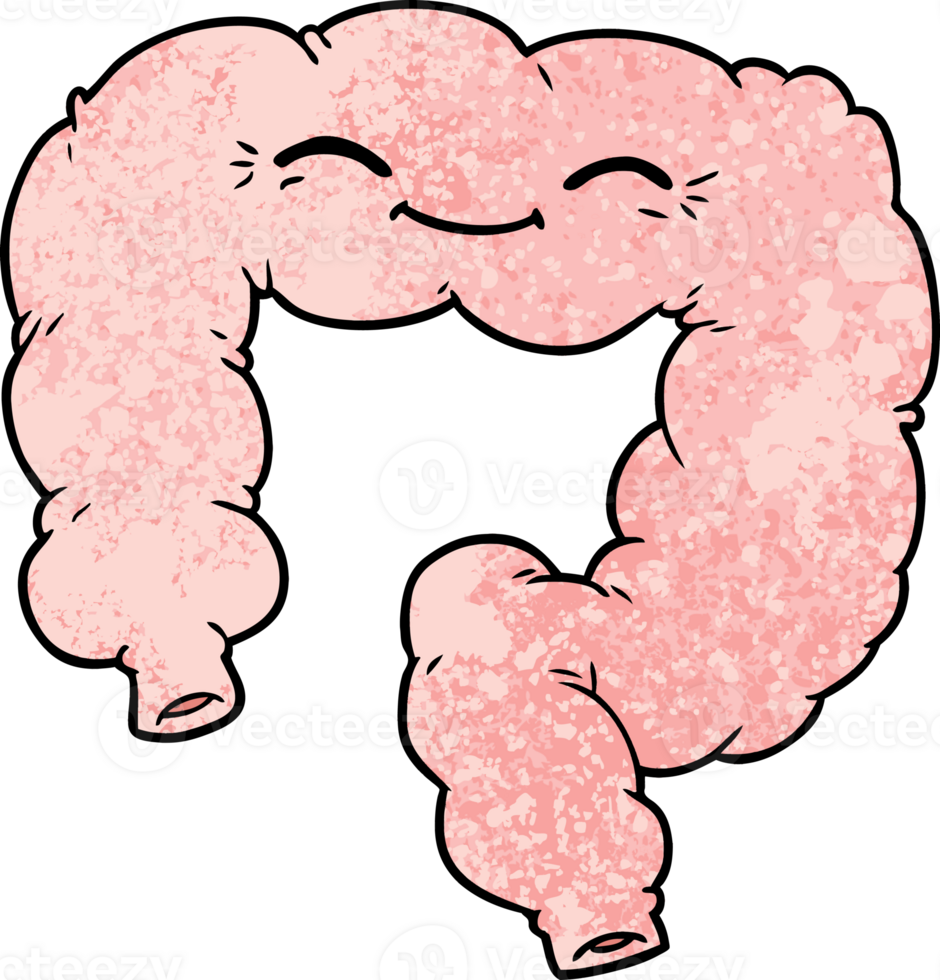 cartoon happy colon png