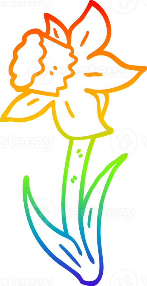 rainbow gradient line drawing of a cartoon daffodil png
