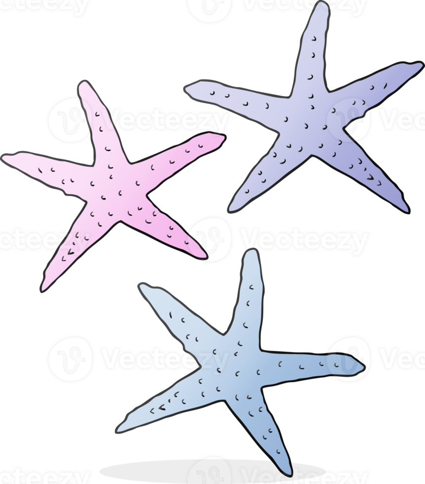hand drawn cartoon starfish png