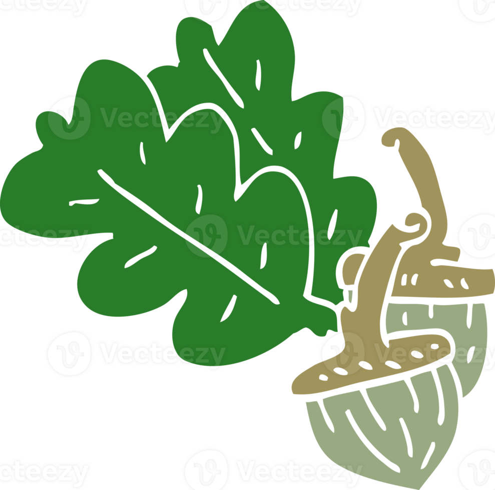 cartoon doodle acorn png