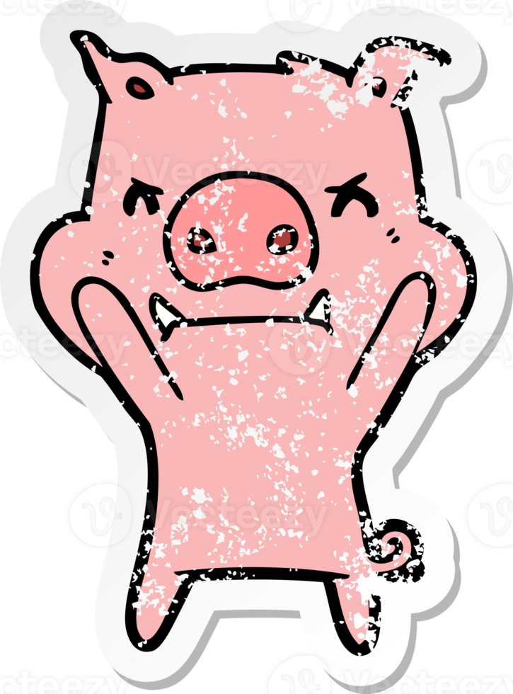 distressed sticker of a angry cartoon pig png