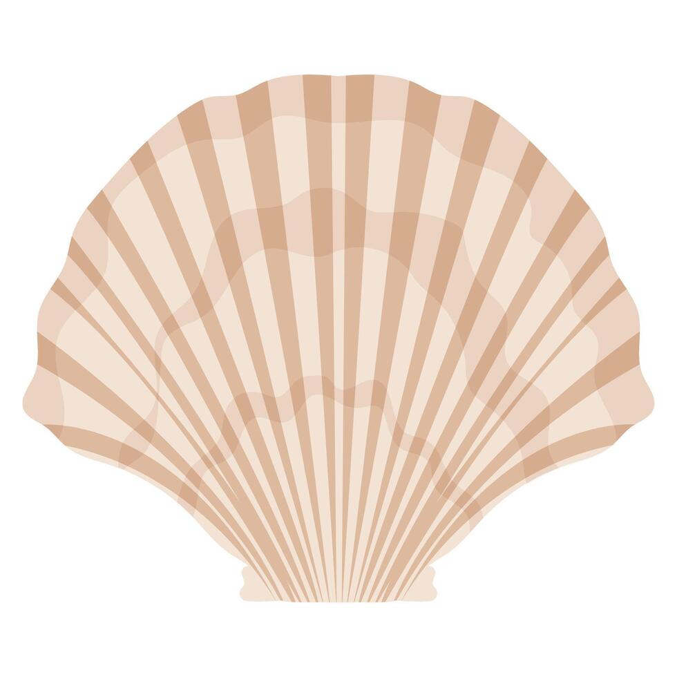 seashell beige scallop underwater inhabitant vector