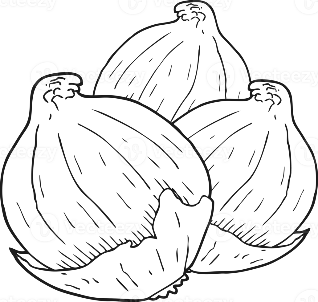 hand drawn black and white cartoon onions png