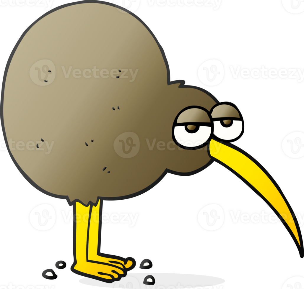 hand drawn cartoon kiwi png