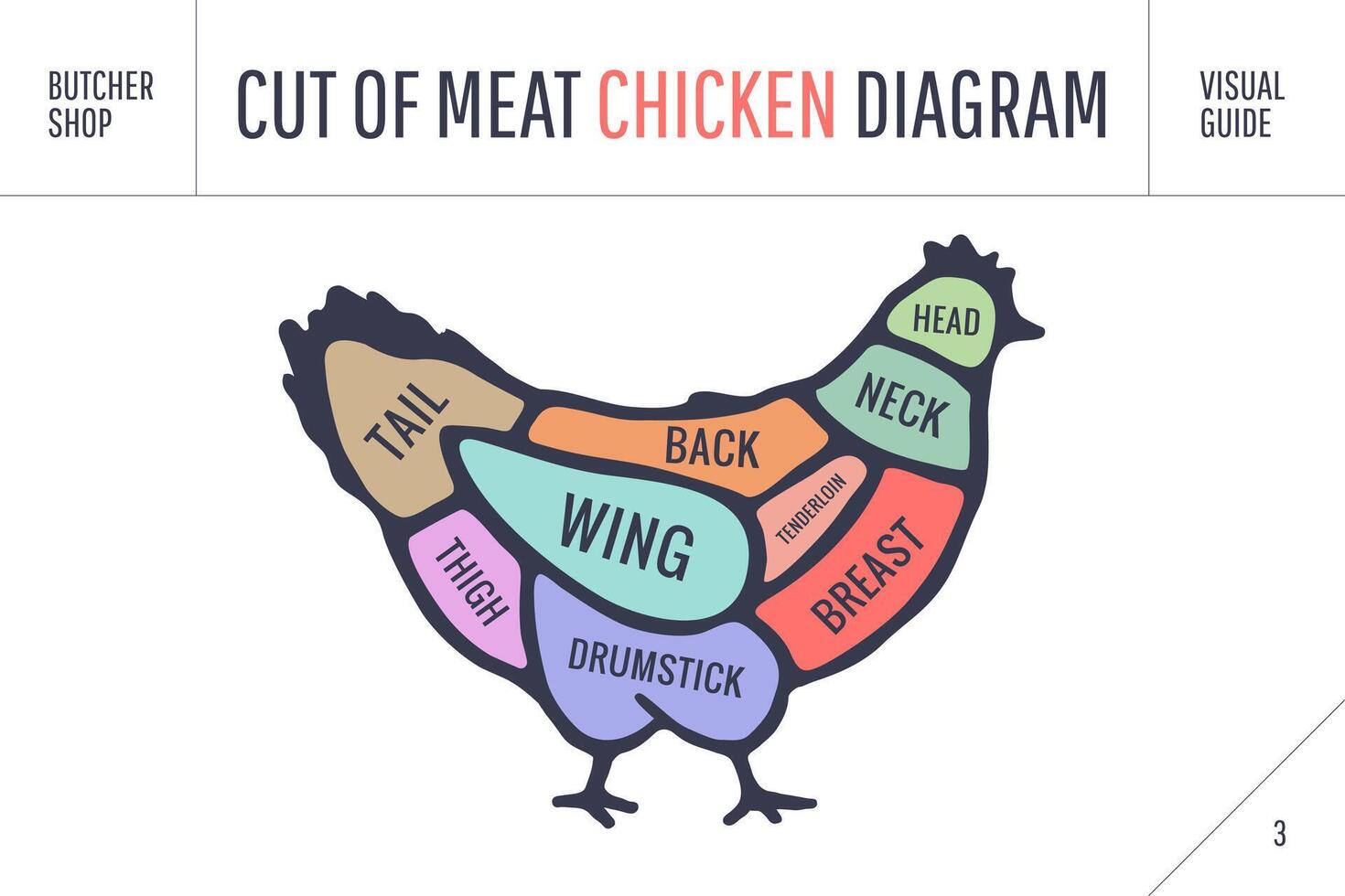 Cut of meat set. Poster Butcher diagram and scheme - Chicken vector
