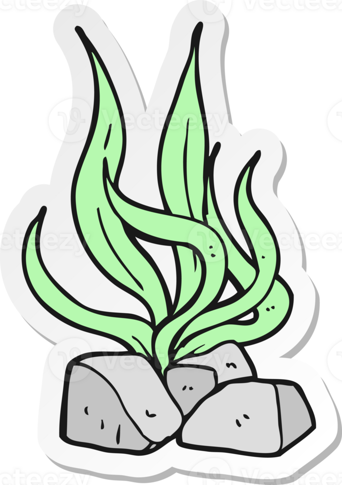 sticker of a cartoon seaweed png