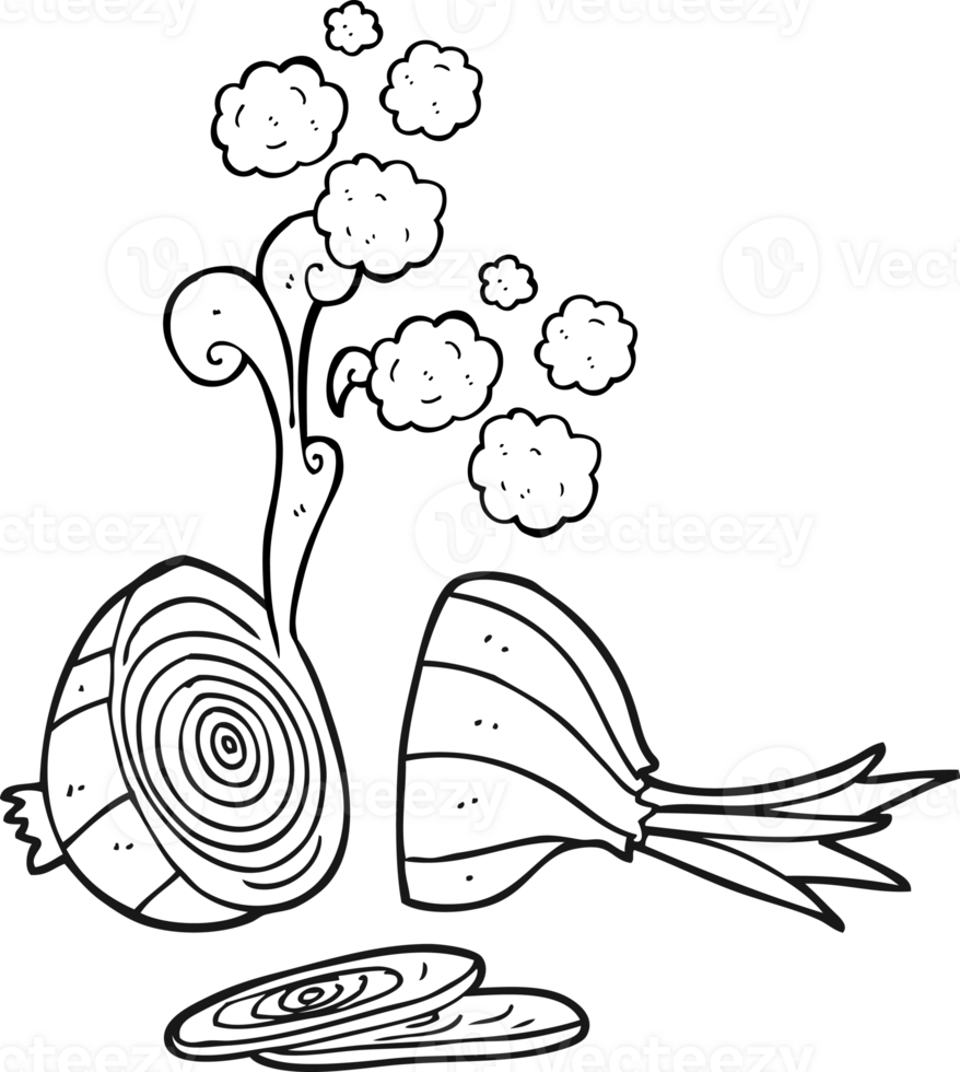 hand drawn black and white cartoon sliced onion png