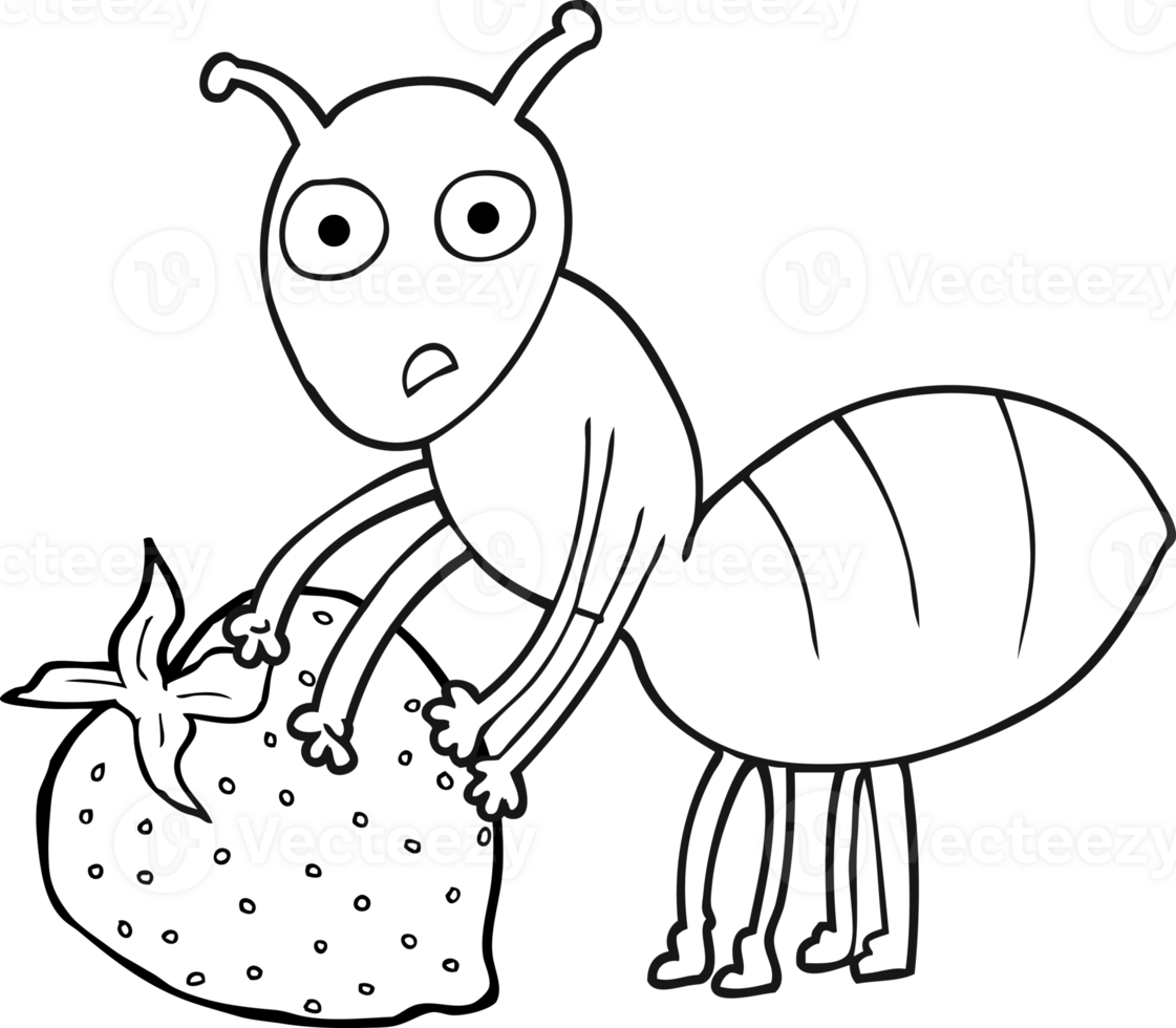 hand drawn black and white cartoon ant with berry png
