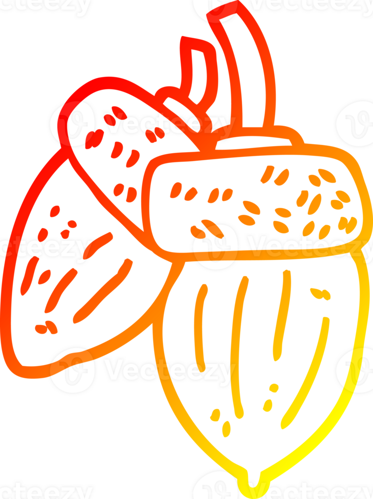 warm gradient line drawing of a cartoon acorn png