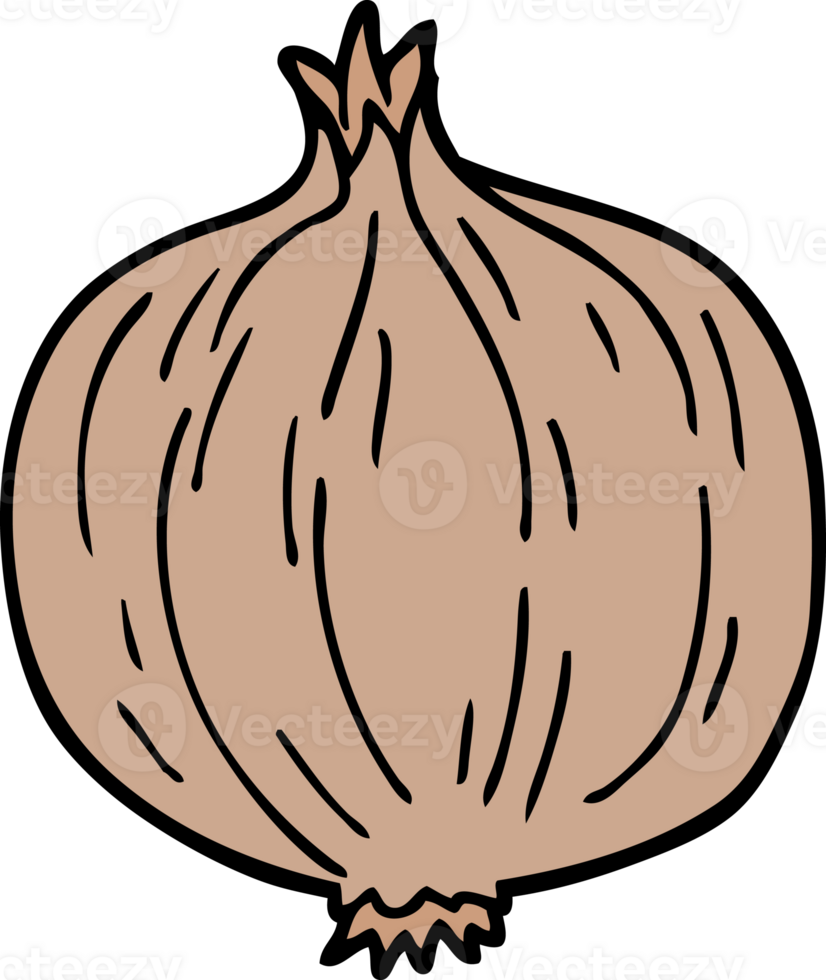 cartoon doodle onion png