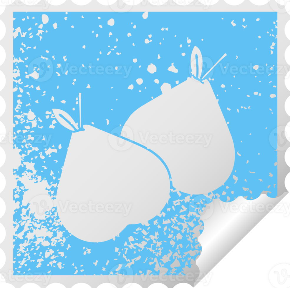 distressed square peeling sticker symbol of a green pear png