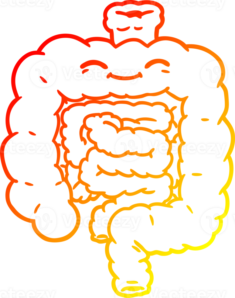 warm gradient line drawing of a cartoon intestines png