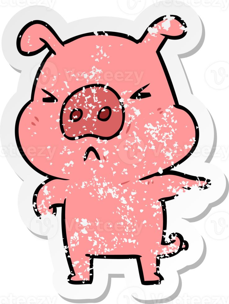 distressed sticker of a cartoon angry pig png