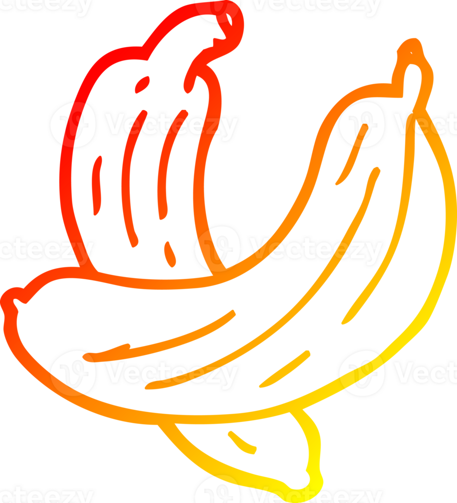 warm gradient line drawing of a cartoon cucumber plant png