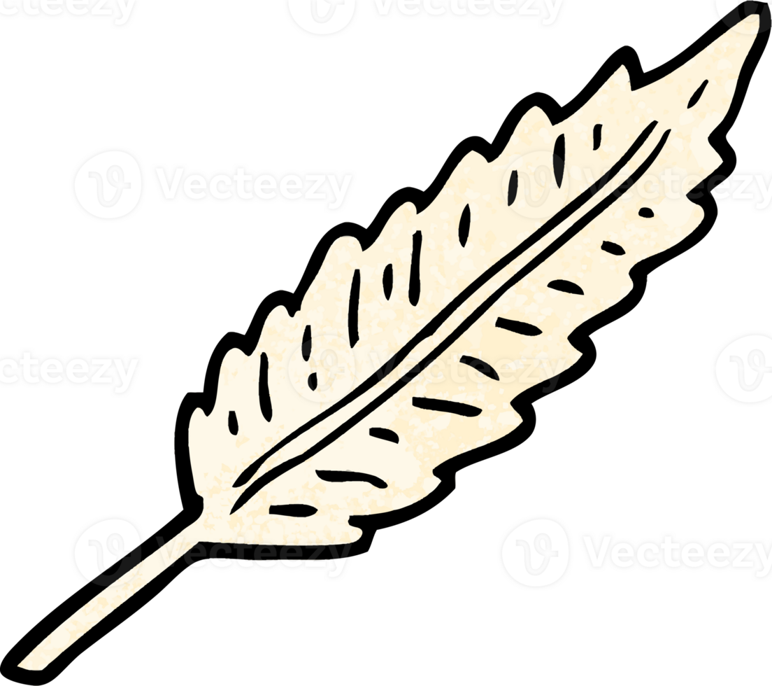 grunge textured illustration cartoon of a white feather png