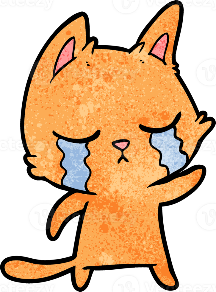 crying cartoon cat pointing png