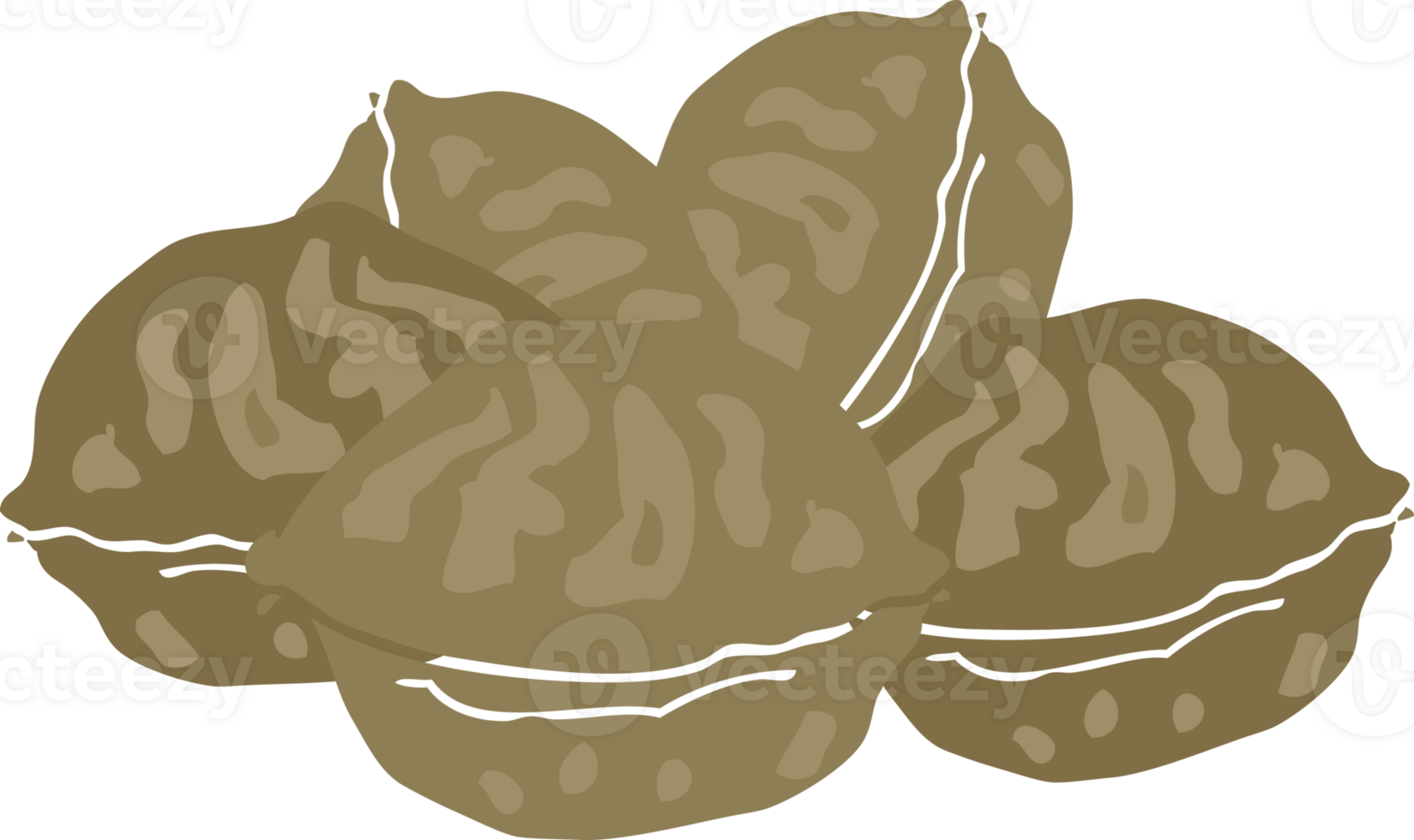 flat color illustration of walnuts png