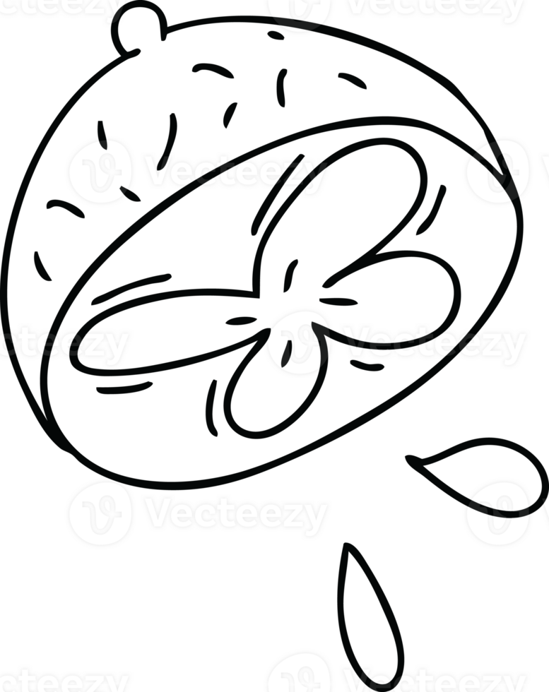 line drawing quirky cartoon lemon png