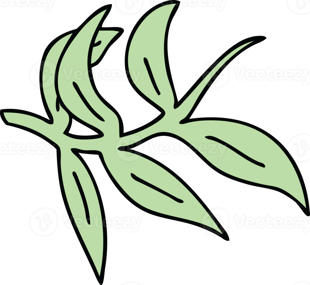 hand drawn quirky cartoon vines png