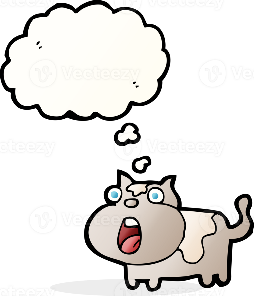 cartoon shocked cat with thought bubble png