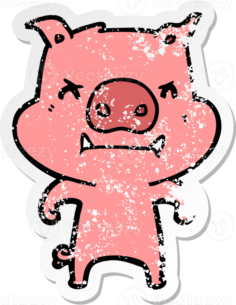 distressed sticker of a angry cartoon pig png