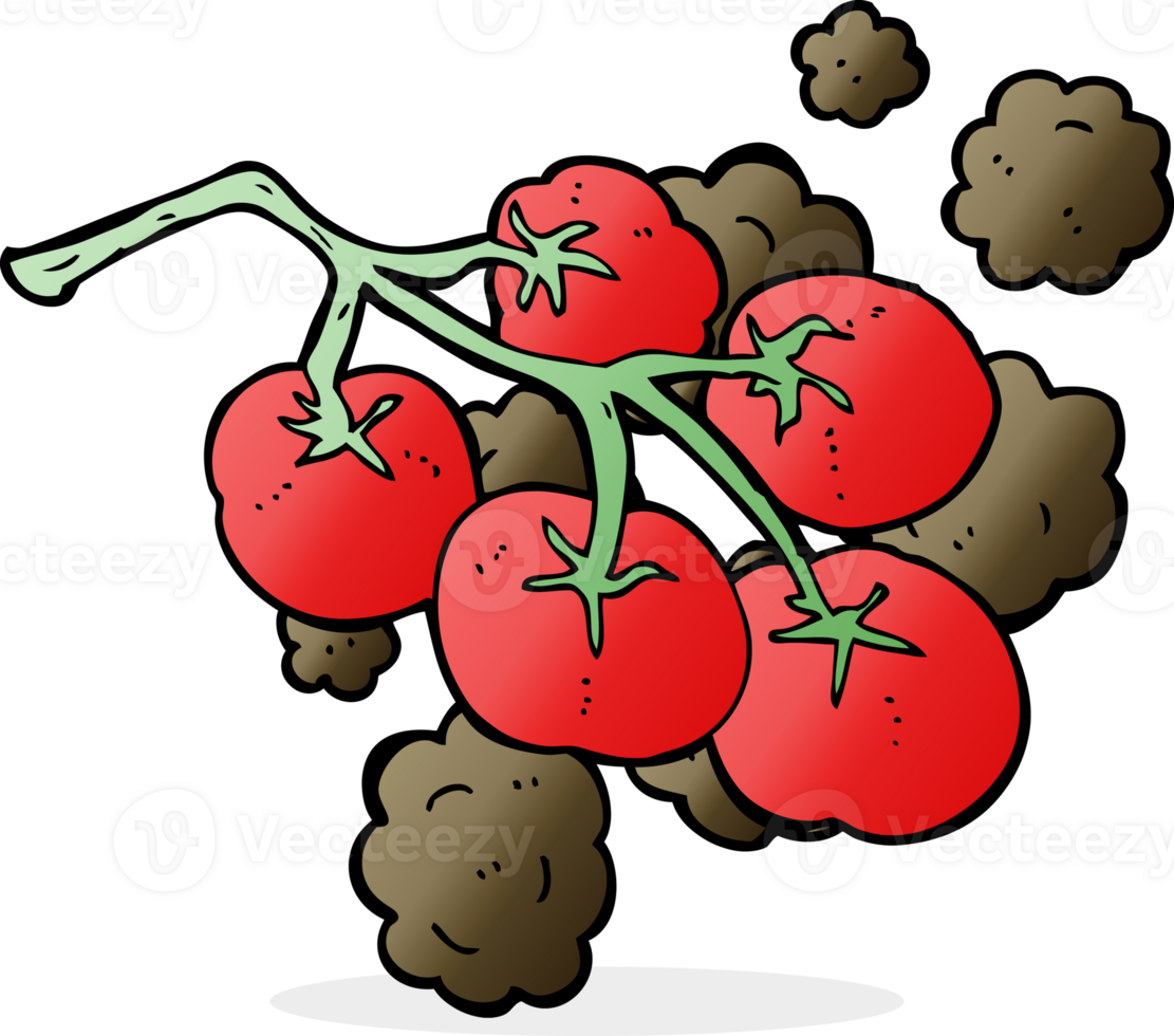 tomates verdes en la ilustración de la vid png