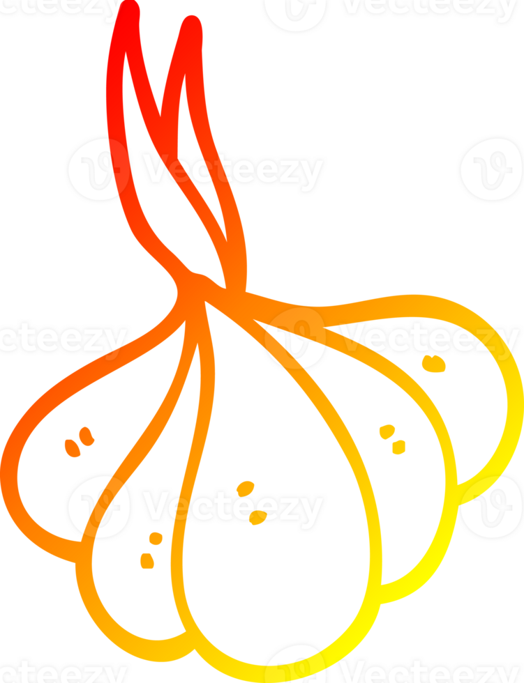 warm gradient line drawing of a cartoon sprouting garlic png