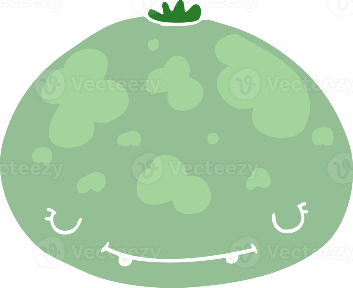 flat color style cartoon squash png