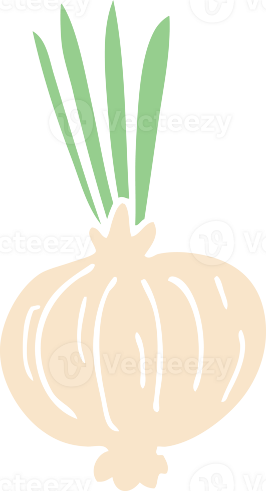 cartoon doodle onion png