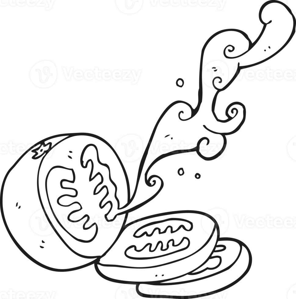 hand drawn black and white cartoon sliced tomato png