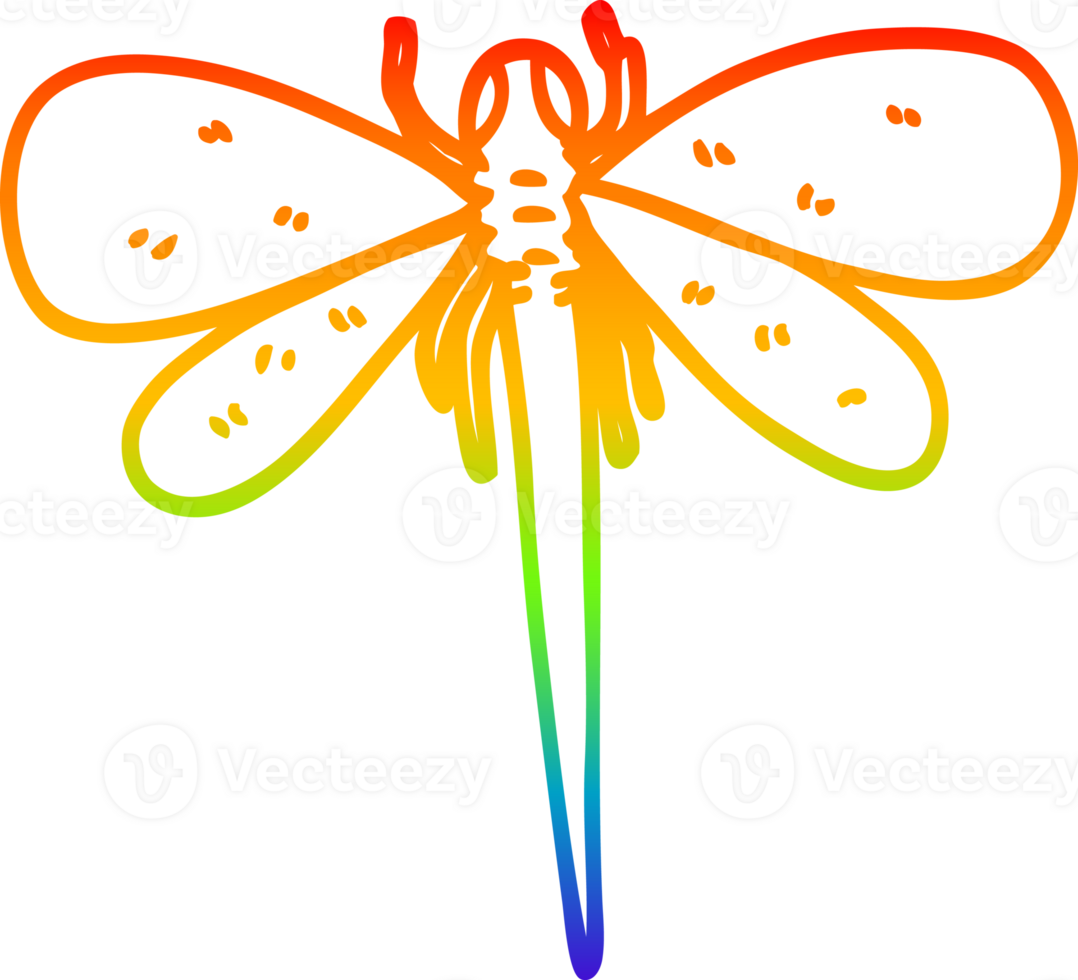 rainbow gradient line drawing of a cartoon dragonfly png