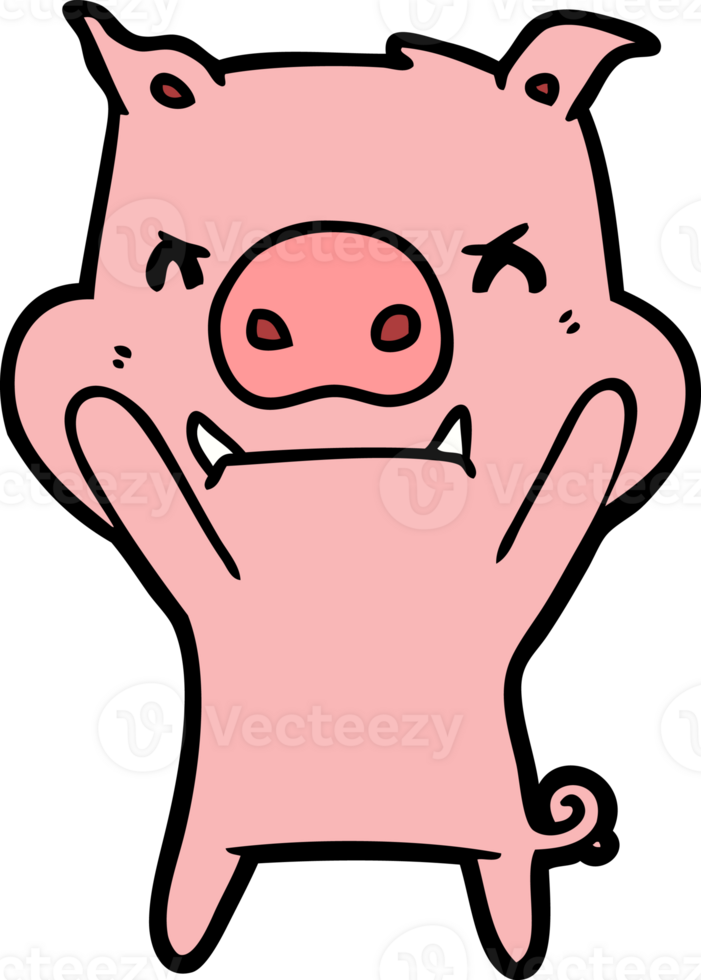 angry cartoon pig png