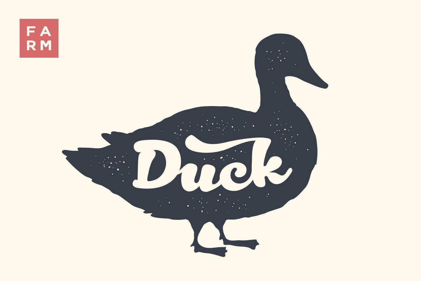 Duck. Lettering, typography. Animal silhoutte duck, lettering vector