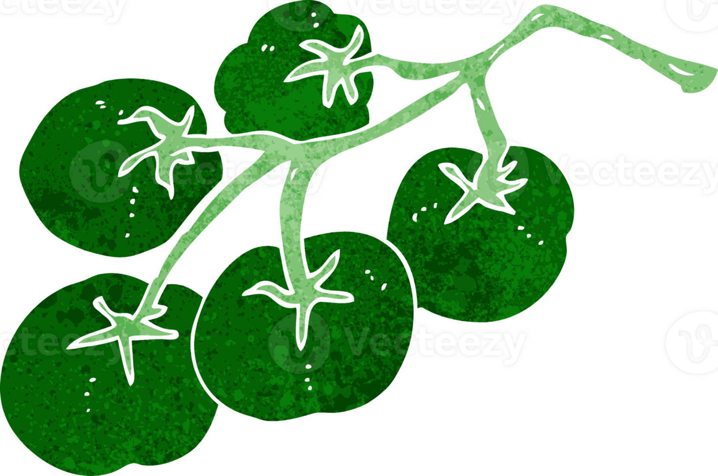 green tomatoes on vine illustration png