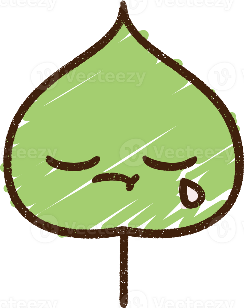 Leaf Chalk Drawing png