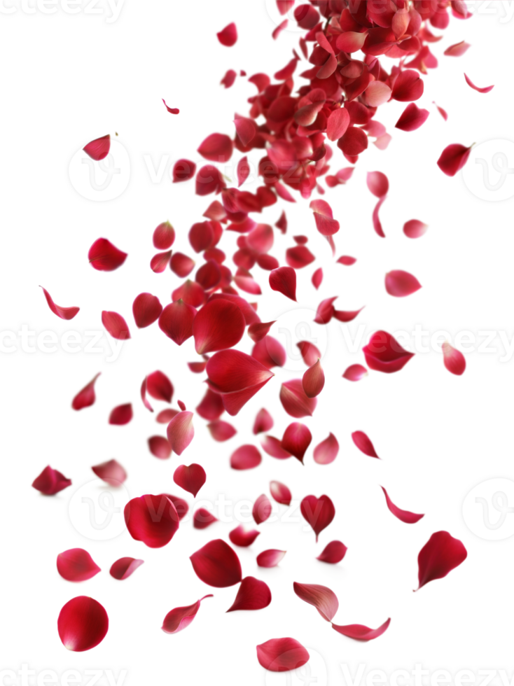 A bunch of red petals are falling from the sky png