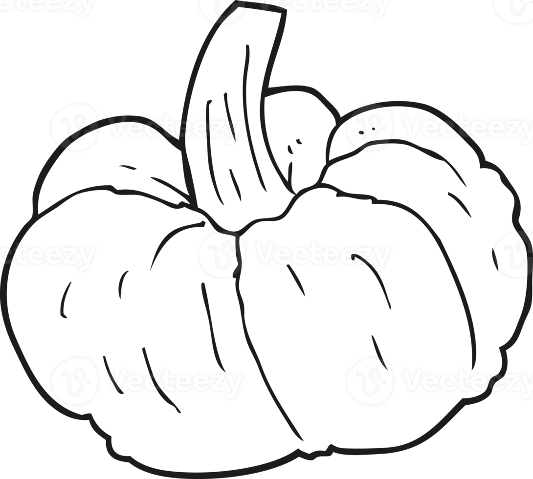 hand drawn black and white cartoon pumpkin png