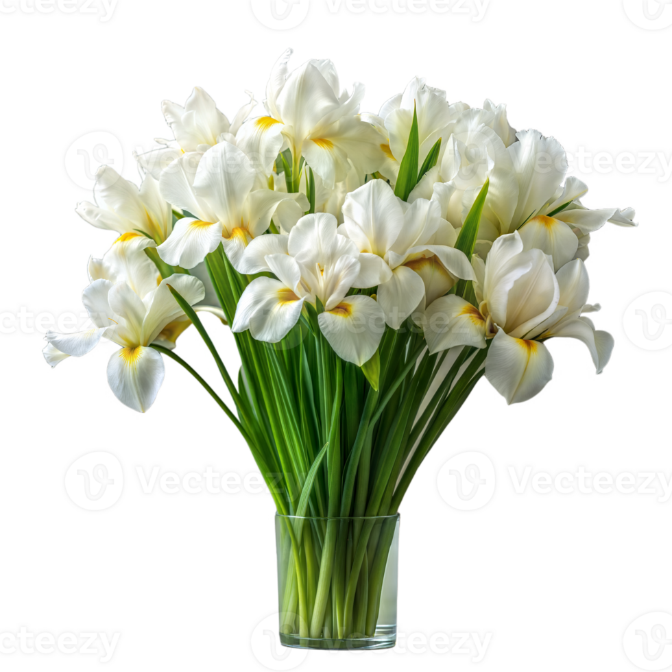 A fresh bouquet of white irises in a transparent vase 45054924 PNG